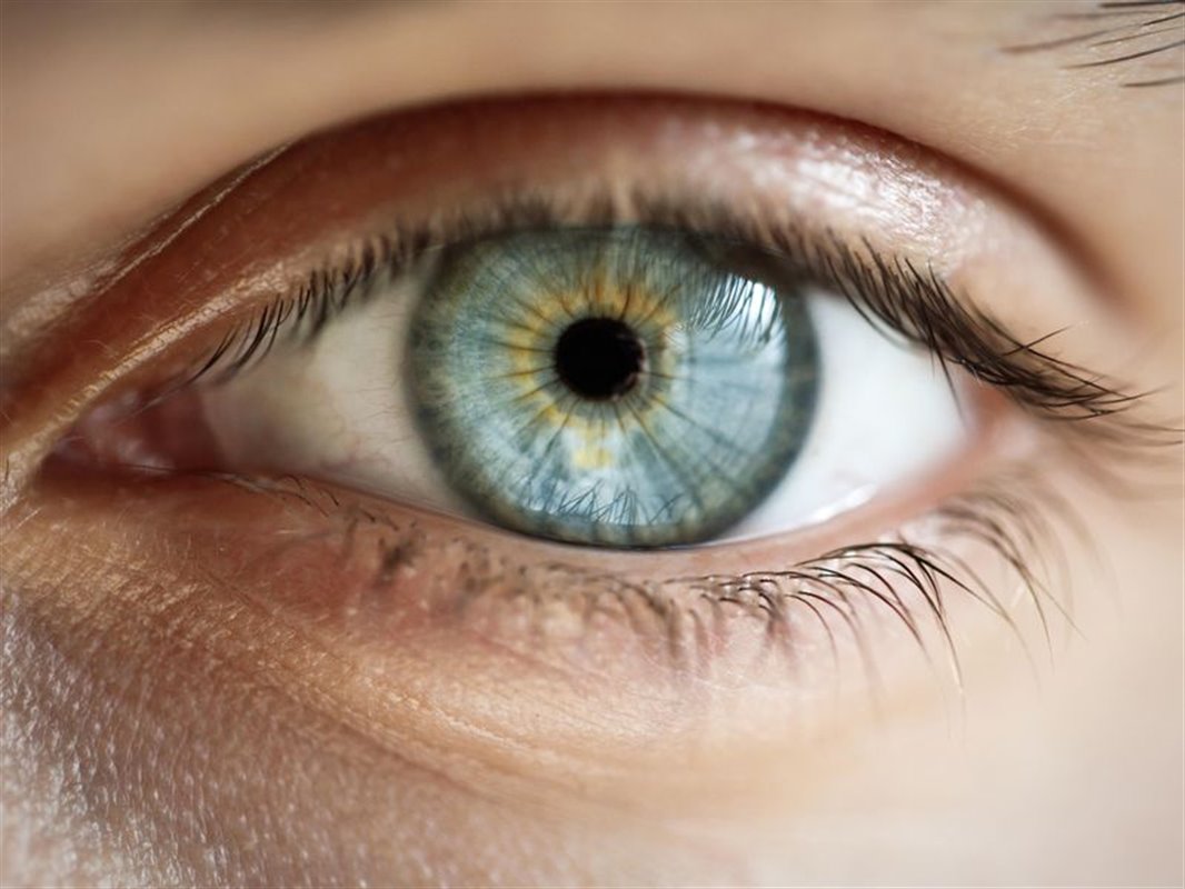الهام از سیستم بینایی انسان برای بازشناسی اشیاء