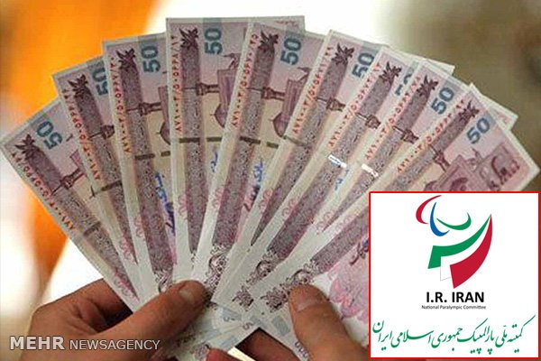 اساسنامه کمیته پارالمپیک یکسال در کشوی دولت/ پول معلولین قطع شد!