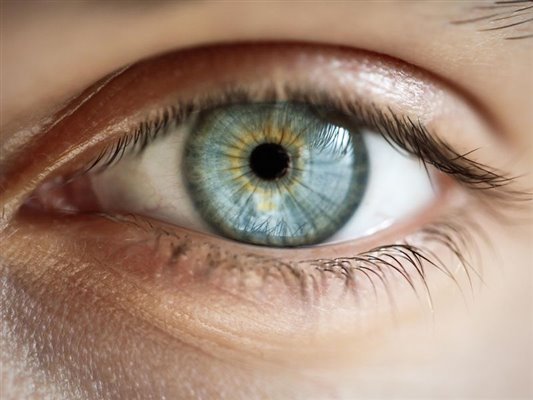 الهام از سیستم بینایی انسان برای بازشناسی اشیاء