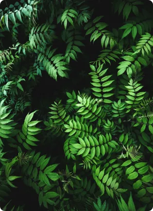 فرم درخواست مسولیت اجتماعی سازمان ها